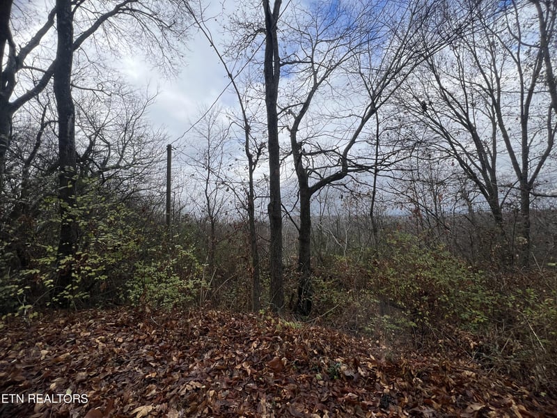 1402 Rhode Island Rd, Knoxville, TN 37912