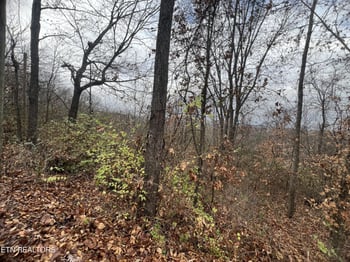 1402 Rhode Island Rd, Knoxville, TN 37912