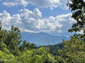 1404 S Baden Dr, Gatlinburg, TN 37738