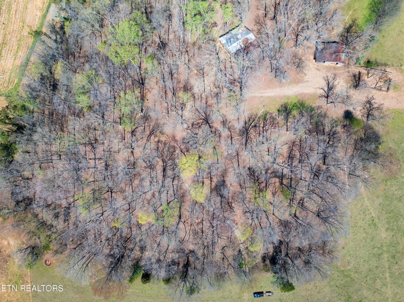 1404 Trigonia Rd, Maryville, TN 37801