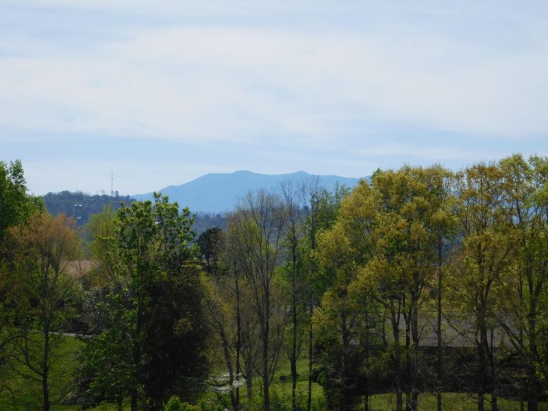 1404 W Milford Haven Dr, Sevierville, TN 37862