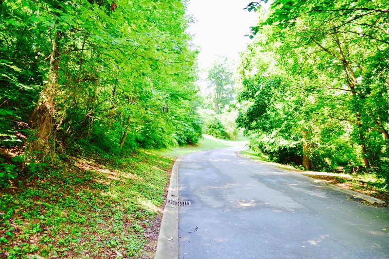 1406 Forrest Ridge Rd, Louisville, TN 37777