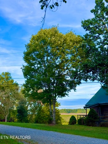 1407 E Park Ln, Sevierville, TN 37876