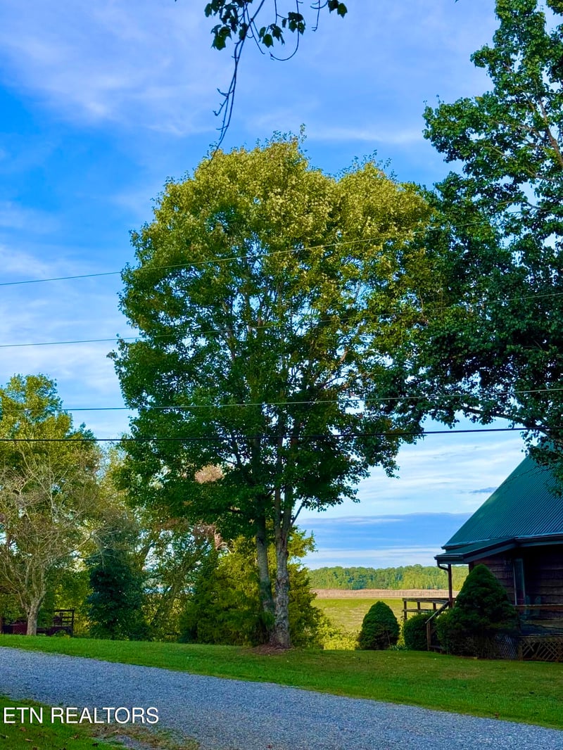 1407 E Park Ln, Sevierville, TN 37876
