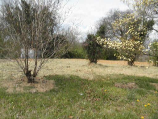 1409 E Broadway, Maryville, TN 37804