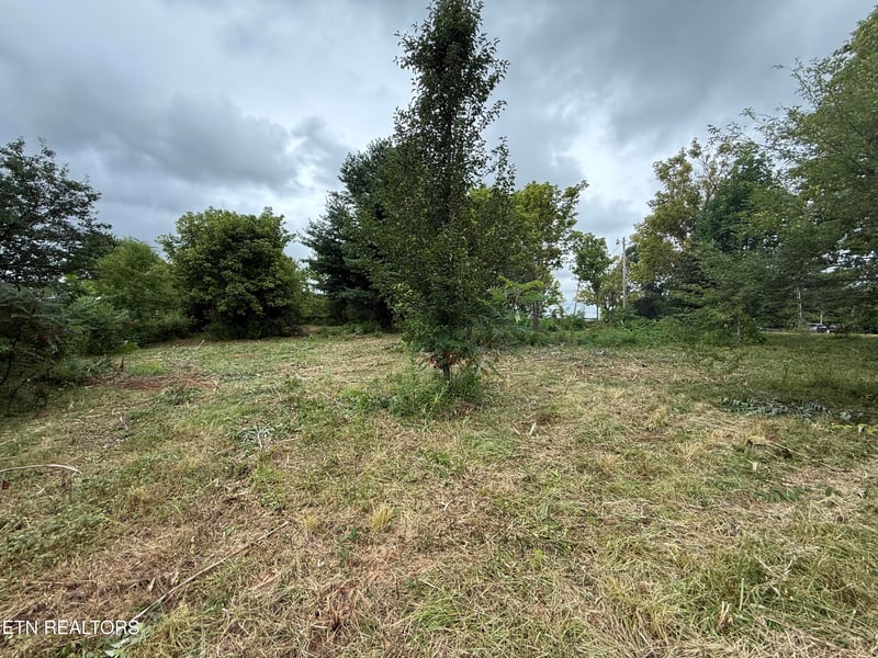 141 Butternut Ridge Rd, Crossville, TN 38571