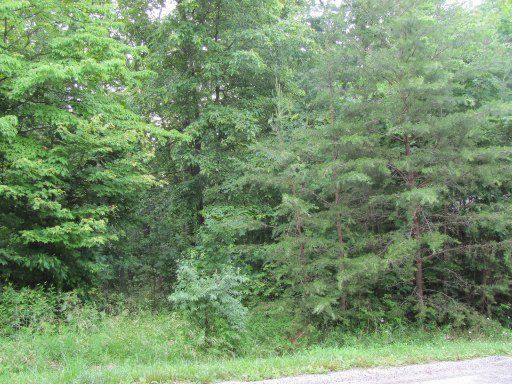141 Lynhurst Dr, Fairfield Glade, TN 38558