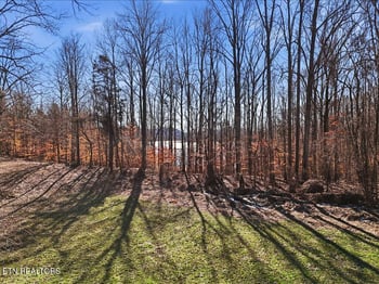 141 Red Cloud Ln, Rutledge, TN 37861