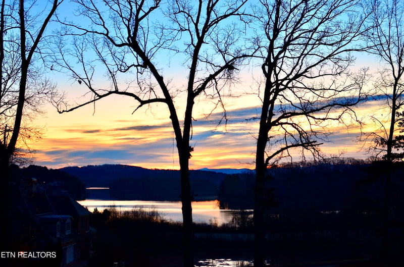 141 Song Sparrow Dr, Vonore, TN 37885