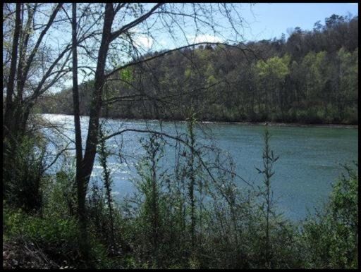 1413 Eagle Bend Rd, Clinton, TN 37716