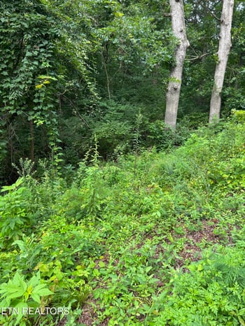 1417 Joe Hinton Rd, Knoxville, TN 37931