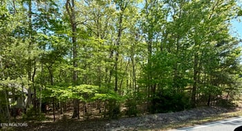 142 Mariners Dr, Crossville, TN 38558