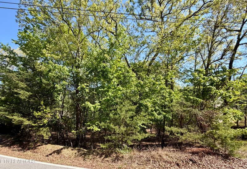 142 Mariners Dr, Crossville, TN 38558
