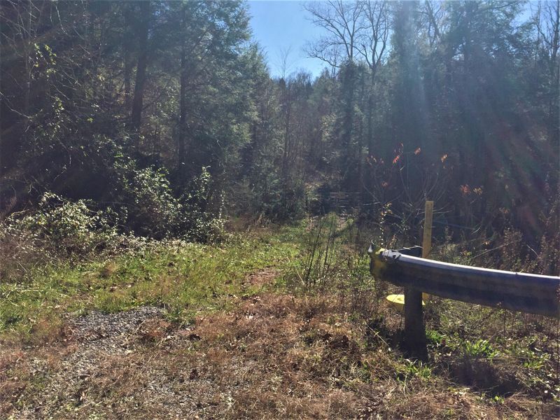 142 Reid Watson Rd, Deer Lodge, TN 37726