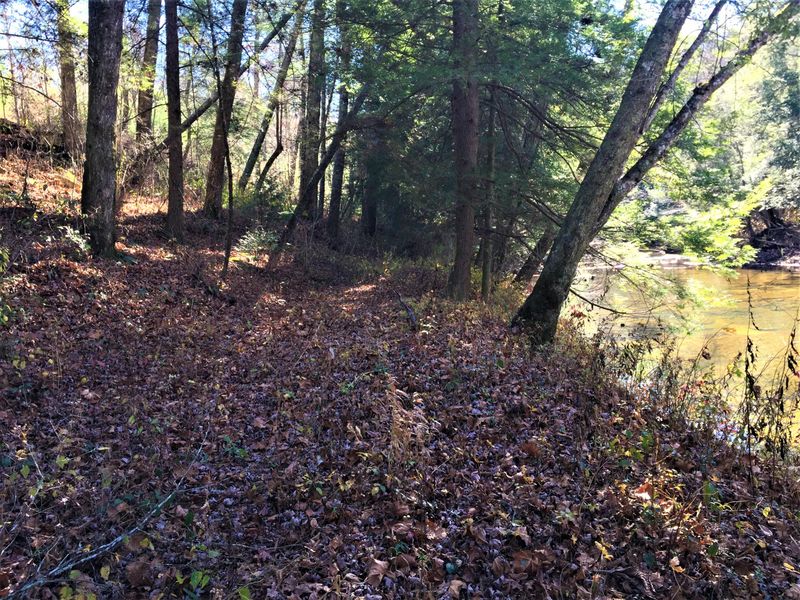 142 Reid Watson Rd, Deer Lodge, TN 37726