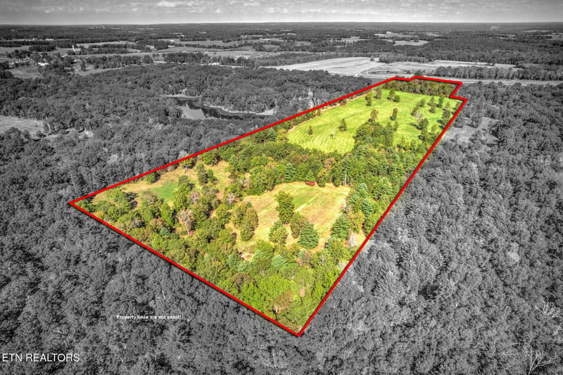 1423 Meister Hills Rd, Deer Lodge, TN 37726