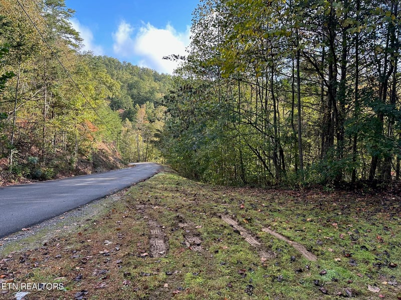 1423 Mountain Dreams Way, Sevierville, TN 37862