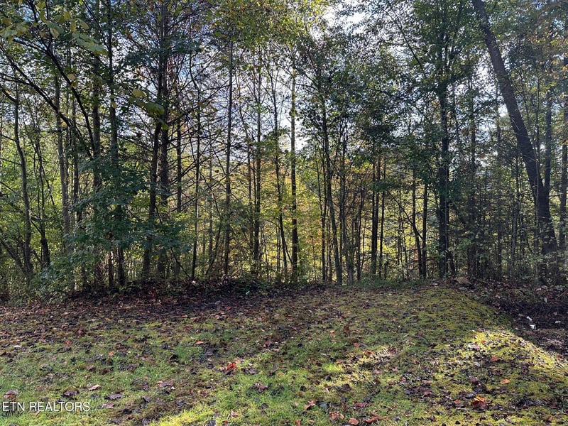 1423 Mountain Dreams Way, Sevierville, TN 37862