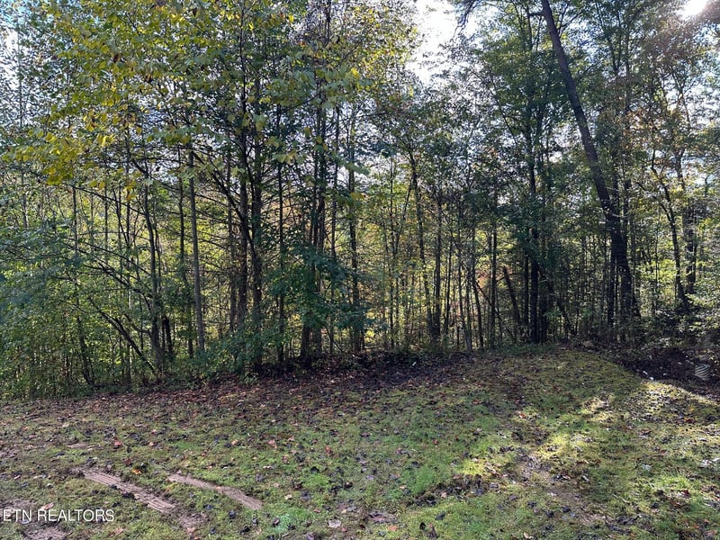1423 Mountain Dreams Way, Sevierville, TN 37862