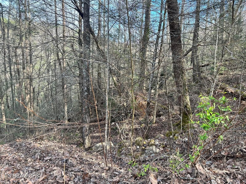 1423 Mountain Dreams Way, Sevierville, TN 37862