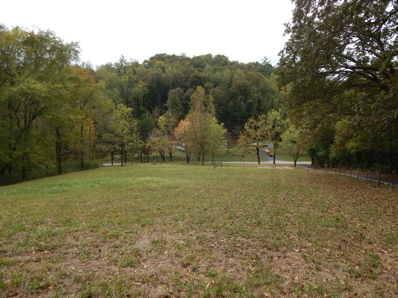 1423 Webster Rd, Harriman, TN 37748
