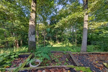 1428 Pine Springs Rd, Knoxville, TN 37922