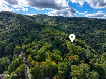 1429 Zurich Rd, Gatlinburg, TN 37738