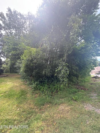 143 Daleyuhski Way, Loudon, TN 37774