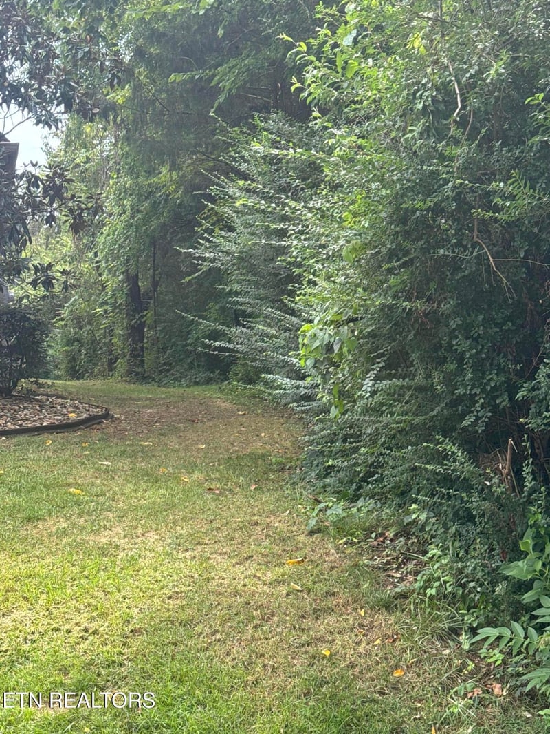 143 Daleyuhski Way, Loudon, TN 37774