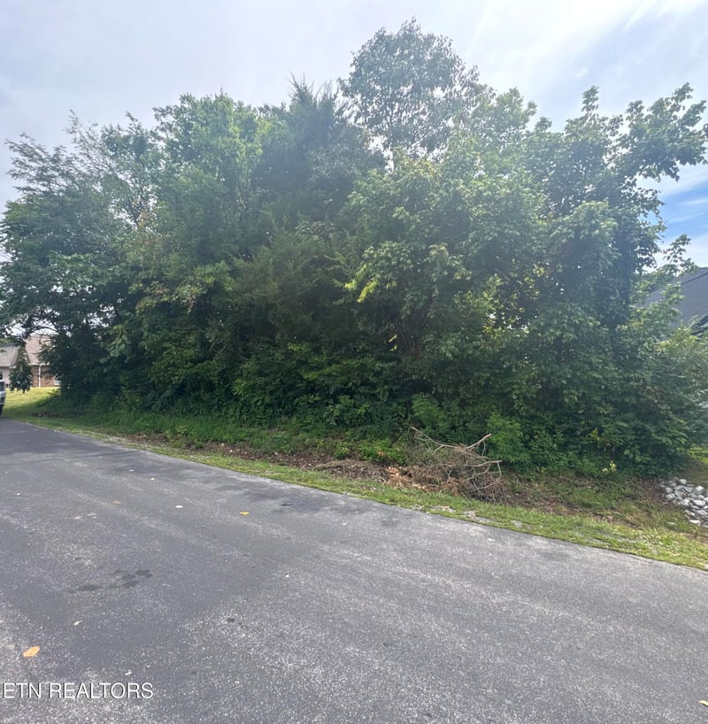 143 Daleyuhski Way, Loudon, TN 37774