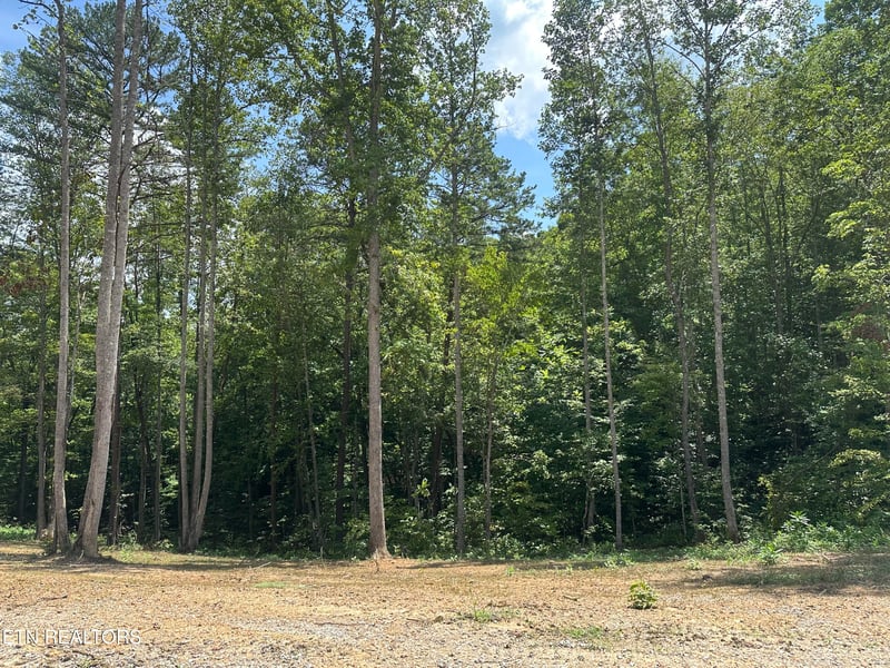 143 Elk Ridge Ln, Pioneer, TN 37847