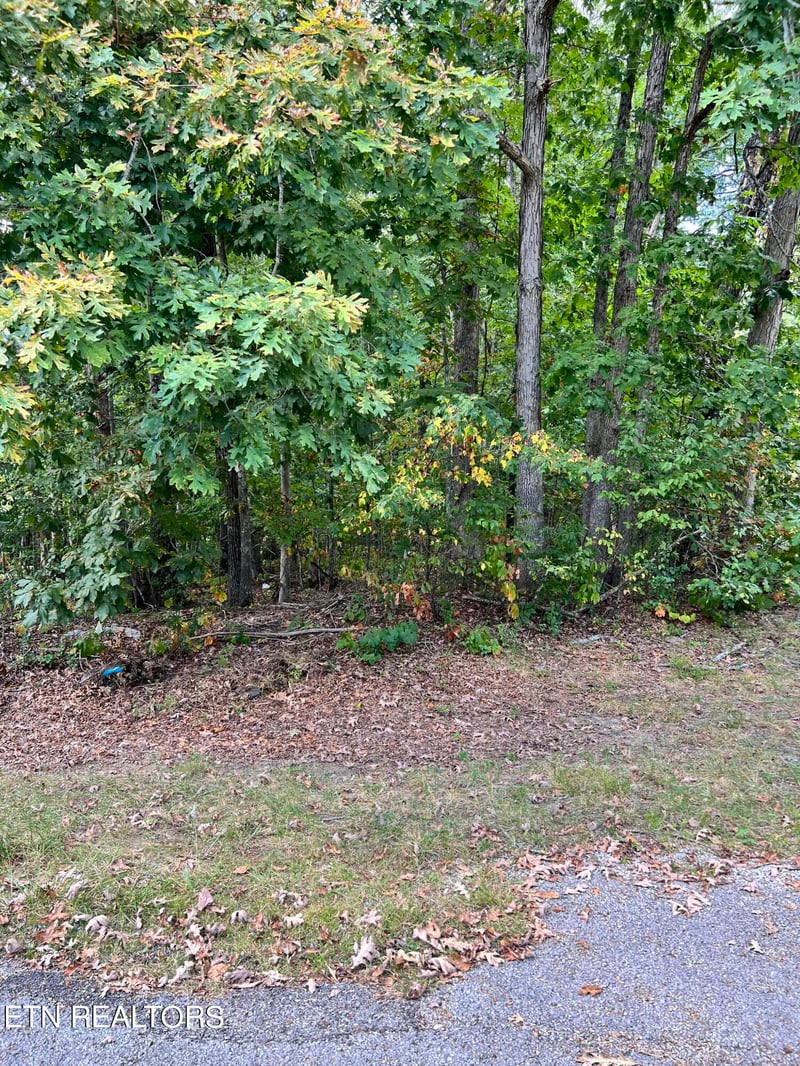 143 Shelley Ln, Crossville, TN 38558