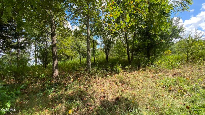 143 Walelu Tr, Vonore, TN 37885