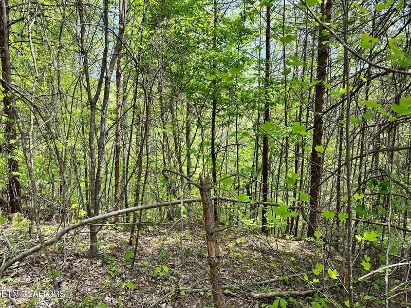 1430 Mountain Dreams Way, Sevierville, TN 37862