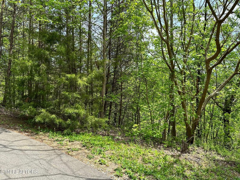 1430 Mountain Dreams Way, Sevierville, TN 37862