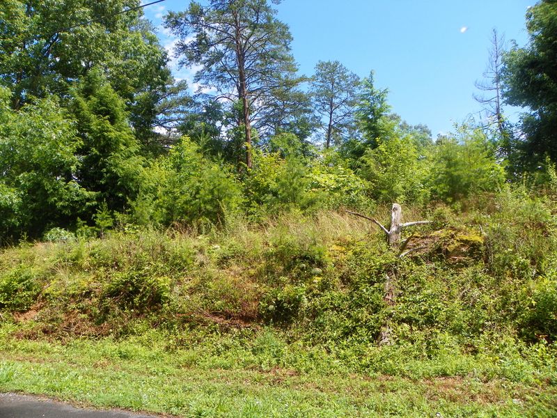1430 Red Cedar Ln, Sevierville, TN 37876