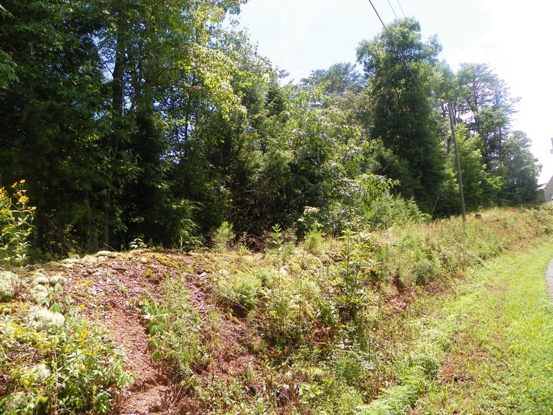 1430 Red Cedar Ln, Sevierville, TN 37876