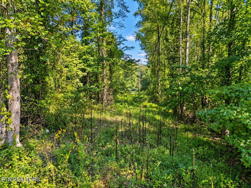 1431 Mountain View Rd, Rockwood, TN 37854