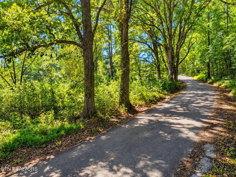 1431 Mountain View Rd, Rockwood, TN 37854