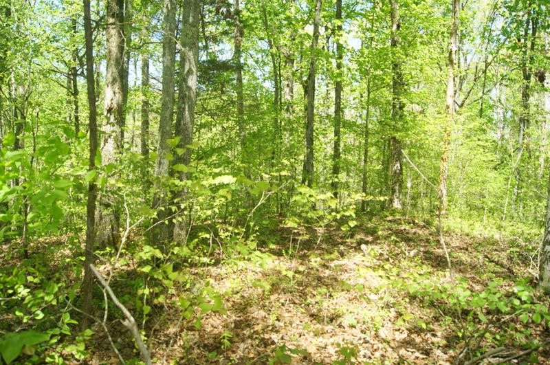 1432 Reagan Valley Rd, Tellico Plains, TN 37385