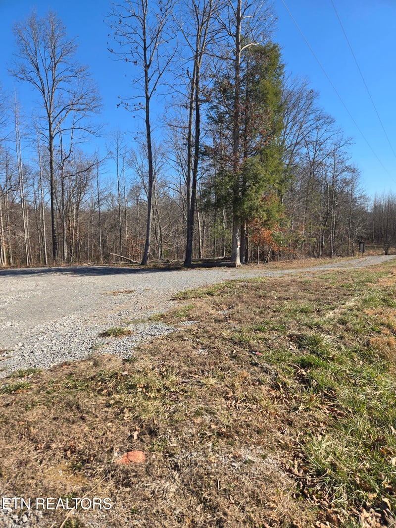 1434 Catoosa Rd, Wartburg, TN 37887