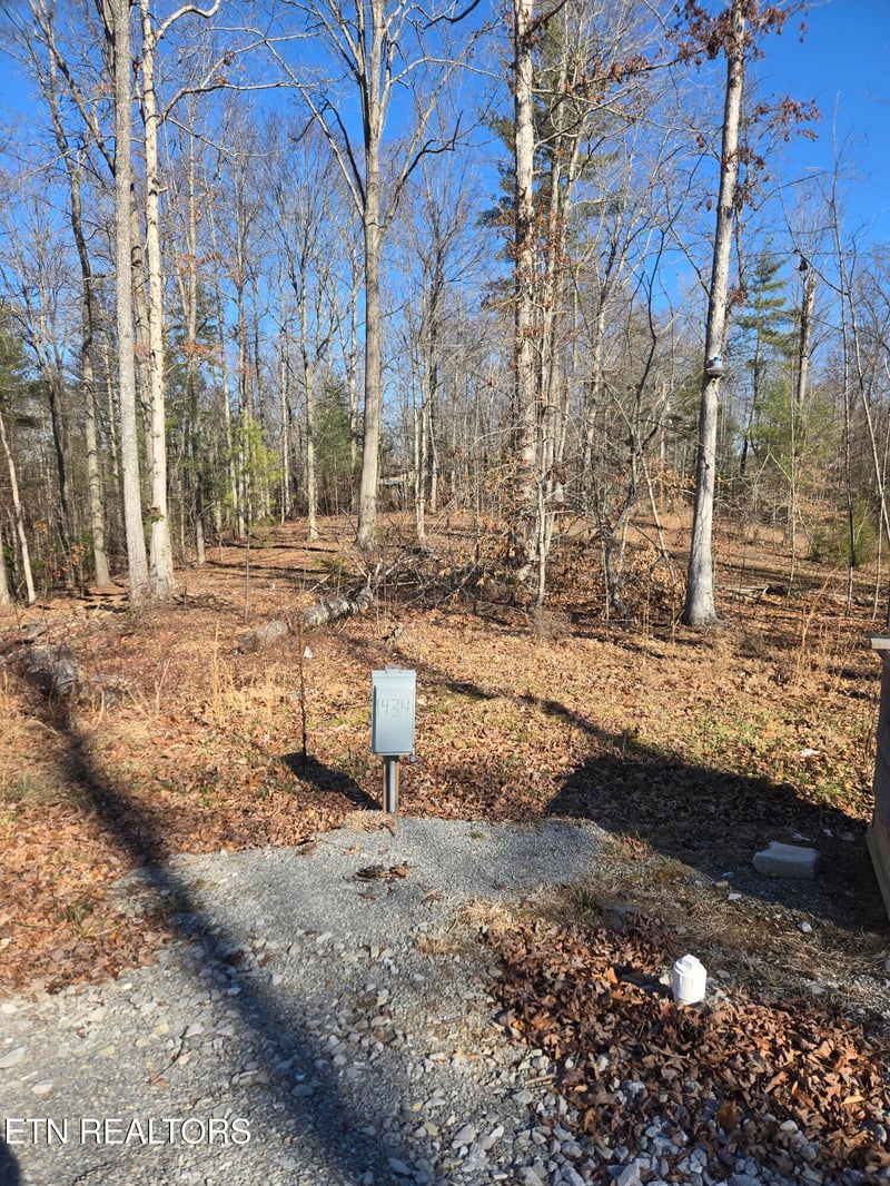 1434 Catoosa Rd, Wartburg, TN 37887