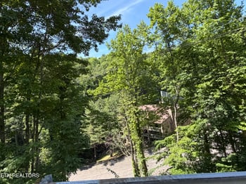 1435 Wiley Oakley Dr #172, Gatlinburg, TN 37738