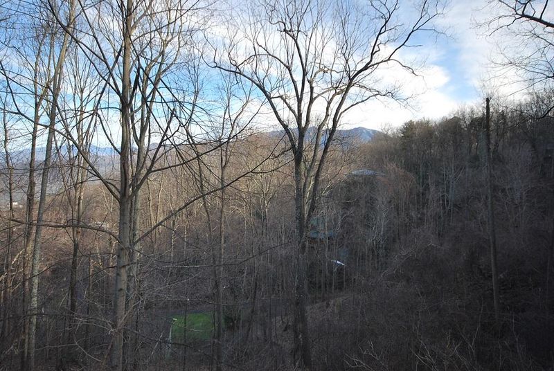 1437 Arbon Dr, Gatlinburg, TN 37738