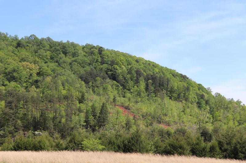1439 Reagan Valley Rd, Tellico Plains, TN 37385