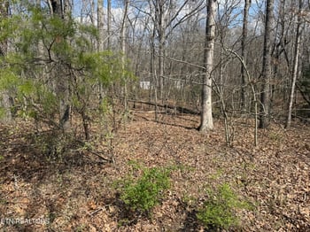 144 Delbridge Ln, Fairfield Glade, TN 38558