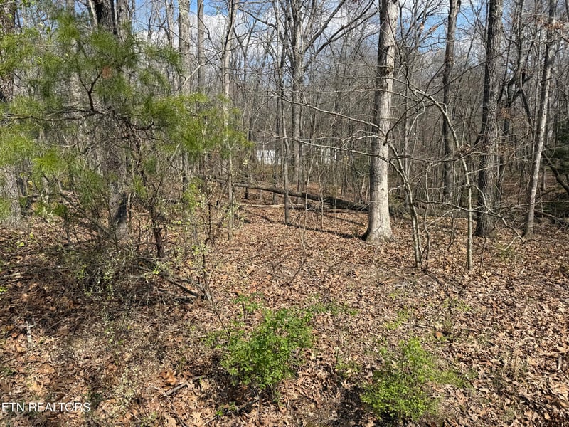 144 Delbridge Ln, Fairfield Glade, TN 38558