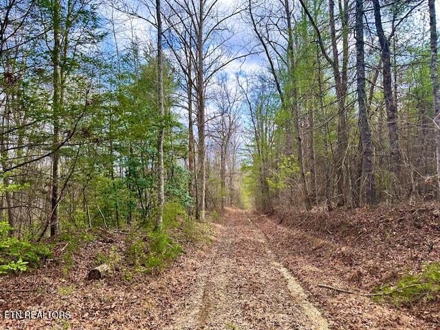 144 Gunter Pl, Sunbright, TN 37872