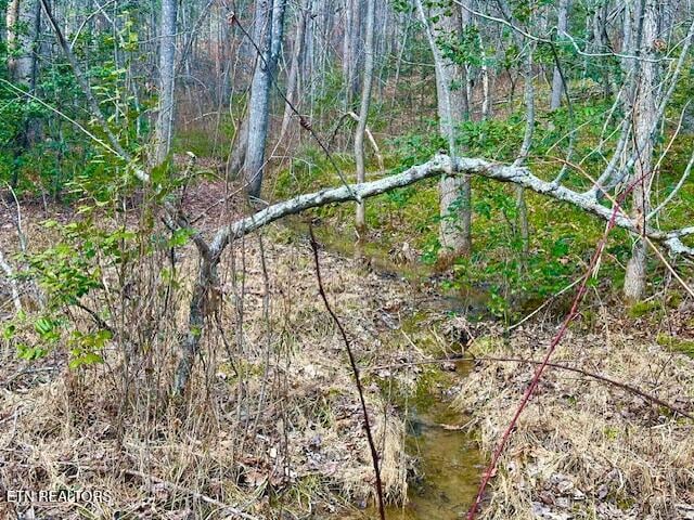 144 Gunter Pl, Sunbright, TN 37872