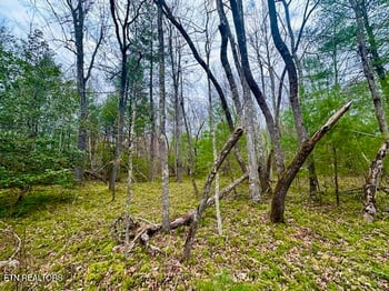 144 Gunter Pl, Sunbright, TN 37872